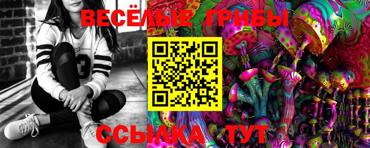Галлюциногенные грибы ЛСД  Вход с VPN  продажа наркотиков  Асино 