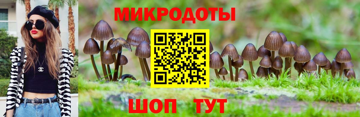 Галлюциногенные грибы GOLDEN TEACHER Асино